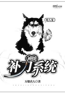 �񼶲���ϵͳ